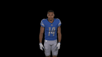 Confused Look Around GIF by Detroit Lions