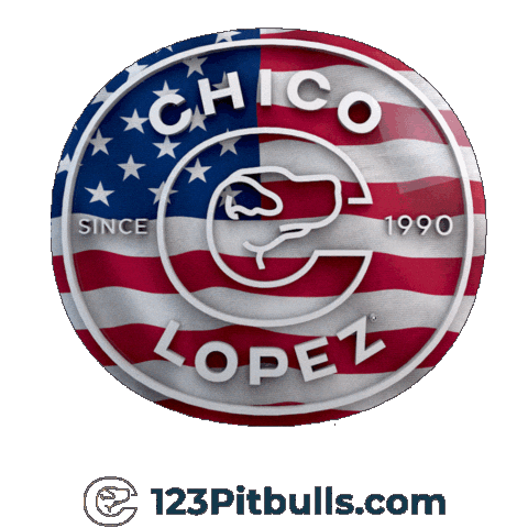 Pitbull Apbt Sticker by Chico Lopez