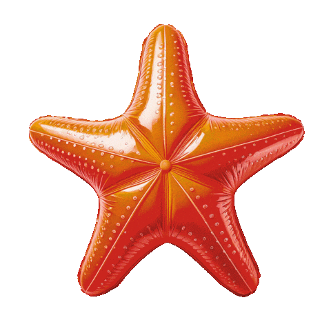 Randomparty Sticker by Random Una Festa A Caso