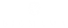Logo Band Sticker by BIGMAMA = Rock + violin