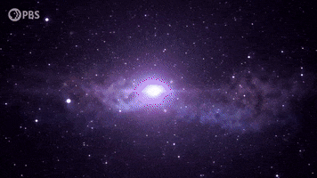 GIF by PBS Digital Studios
