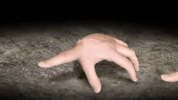 eransini  GIF