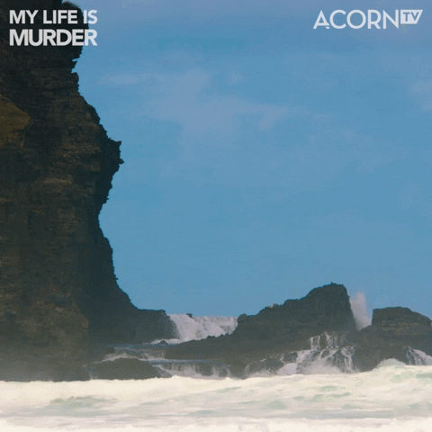 New Zealand Beach GIF by Acorn TV