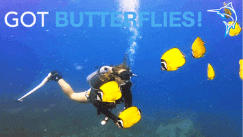 Bubbles Butterflies GIF by BMKL