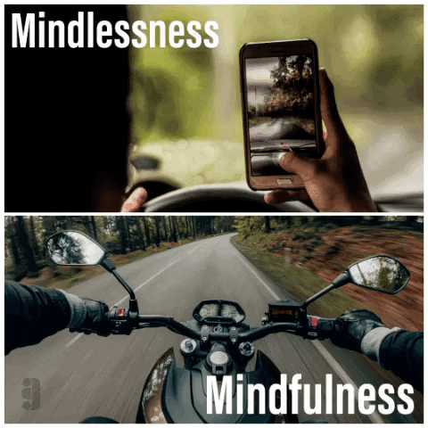transgreaser car motorcycle mindfulness sbt GIF