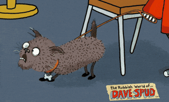 Dog GIF