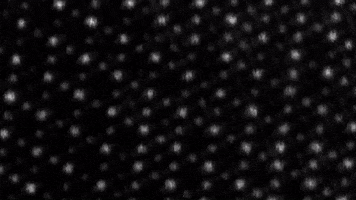 Atom Molecules GIF by MIT