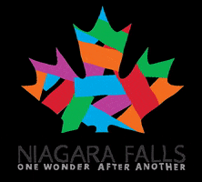 NiagaraFallsTourism falls niagara niagarafalls niagarafallstourism GIF