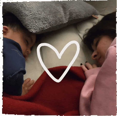 Melisfis GIF