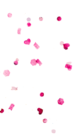 Confetti Petals Sticker by Saatgutkonfetti