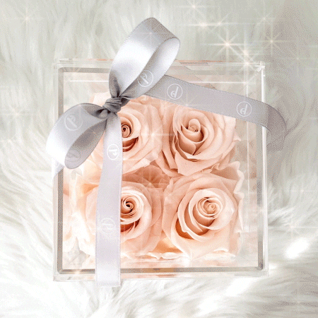 priveroses box of roses roses in a box prive roses nude roses GIF