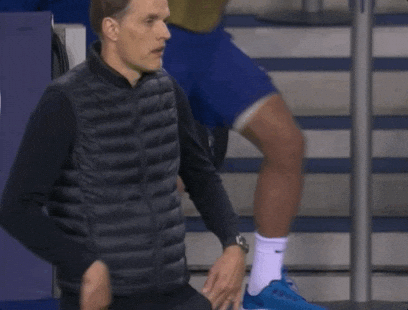 giphy.gif