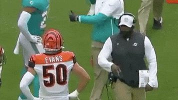 Miami Dolphins Fight GIF by Dolfans NYC