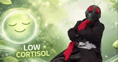 Kamen Rider Peak GIF