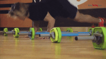 b3njagvzdebnbwfpbc5jb20  GIF