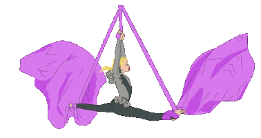 Acrobat Aerialist Sticker