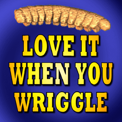 Wiggle You Are Sexy GIF