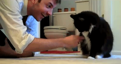 source.gif