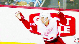 detroit red wings