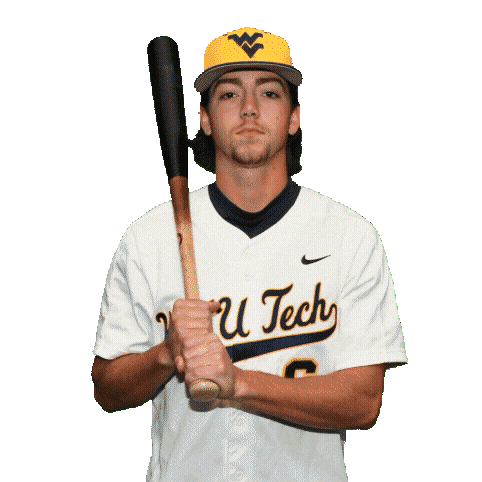 Baseball Sticker by WVU Tech Golden Bears
