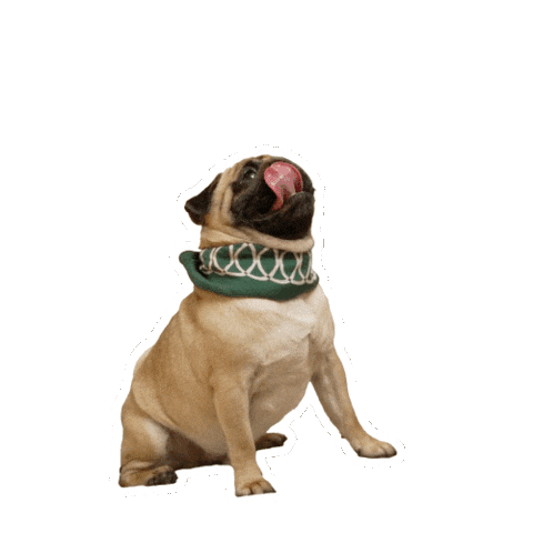 Bulve Sticker by Akvile Gudaityte IKI