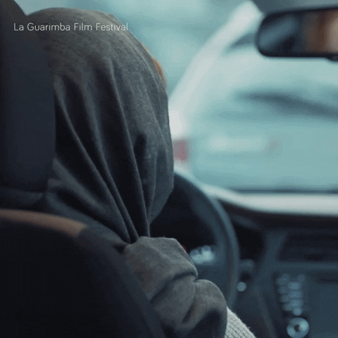 Car Reaction GIF by La Guarimba Film Festival - Find & Share on GIPHY