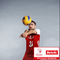 Volleyball Poland GIF by Betclic Polska