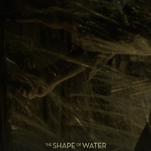 Fox Searchlight Water GIF by 20th Century Fox Home Entertainment