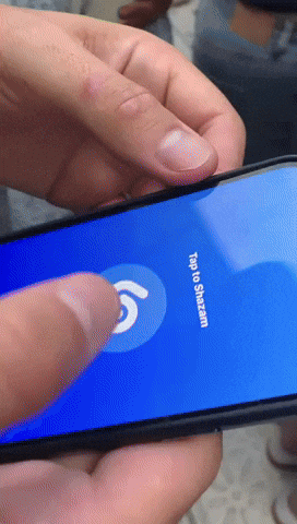 Festival What GIF by Mike Tuck