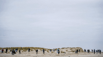 Storm Terschelling GIF