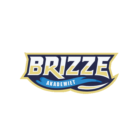 Brizze Sticker