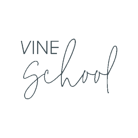 Vineschool Sticker by The Vine Room