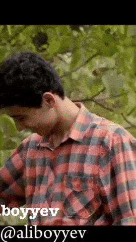 Aliboyyev GIF