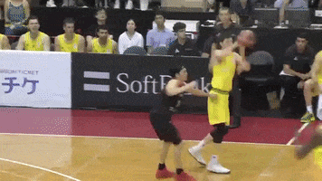 dunk poster GIF by FIBA