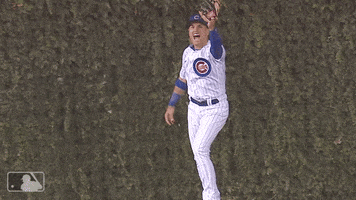 chicago cubs sport GIF by MLB