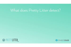 faq pretty litter GIF by Coupon Cause