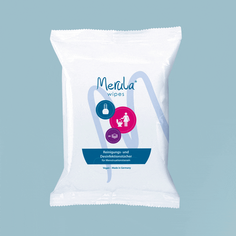 Period Menstruation GIF by Merula
