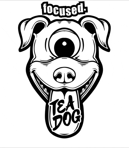 Focused GIF by Tea Dog