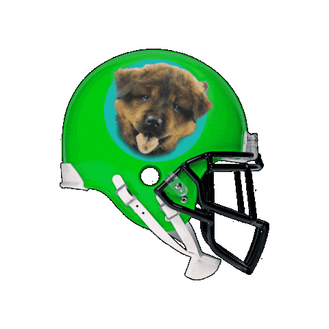 Showgirl Footballhelmet Sticker by Kentucky Humane Society