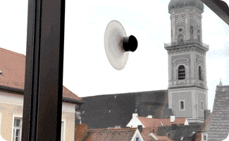 Neozoon GIF
