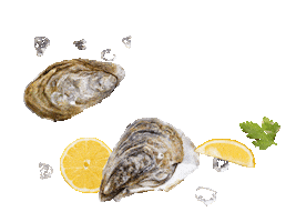 Oyster Auster Sticker by Mastai Comestibles