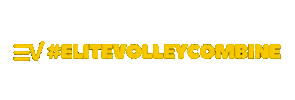 Elite Sticker by EliteVolley.com
