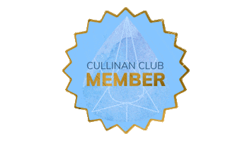 Bio Sculpture Renew Sticker by RE:NEW Beauty