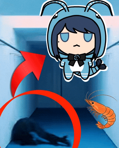Japanese Shrimp GIF