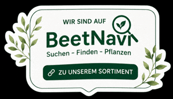 Beetnavi.com GIF