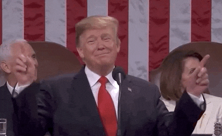 donald trump GIF