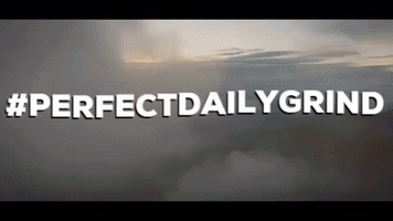 specialty coffee GIF by Perfect Daily Grind