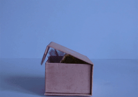 Jack In The Box GIF