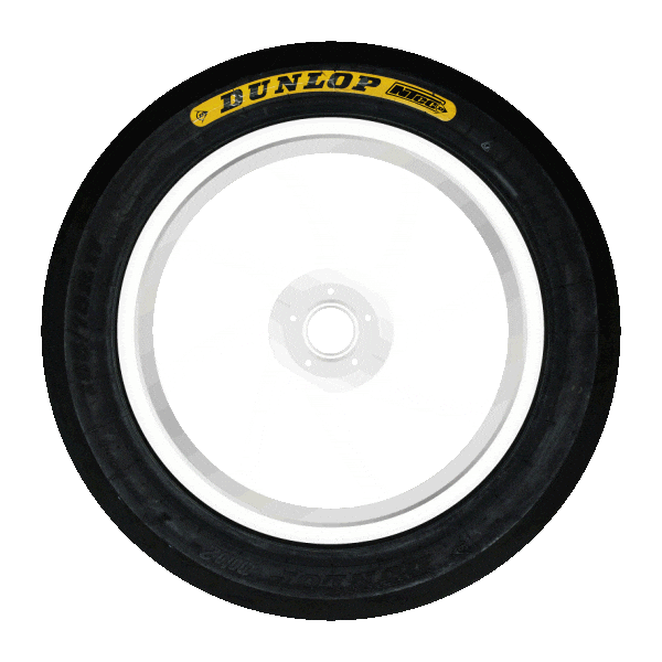 Fun Love Sticker by Dunlop Italia