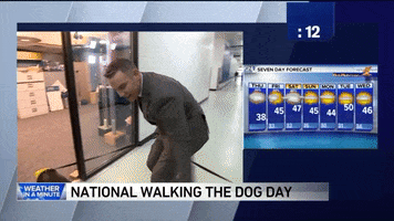 oh no lol GIF by WGN Morning News